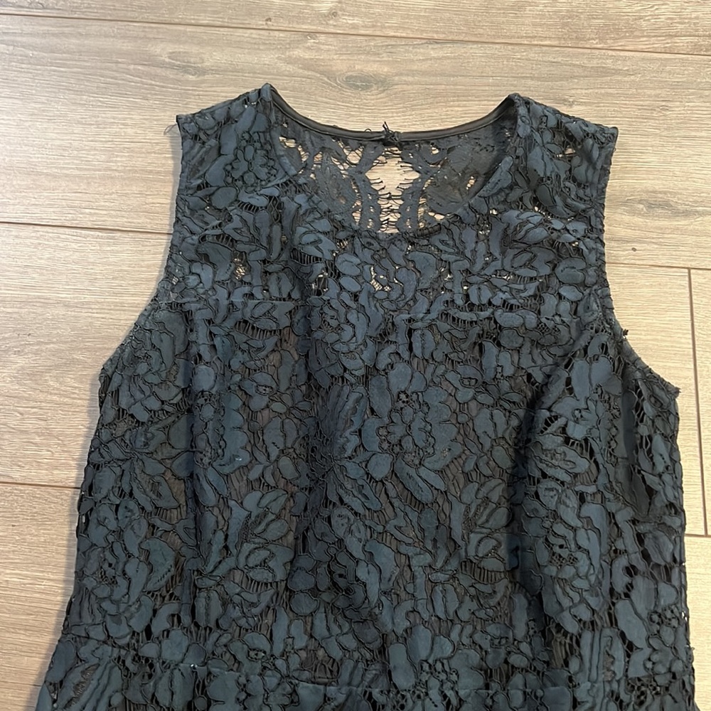 Banana Republic Lace Dress - Picture 3 of 6